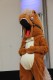 Thumbs/tn_IMG_0412.jpg