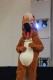 Thumbs/tn_IMG_0422.jpg