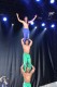 Thumbs/tn_IMG_3626.jpg