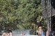Thumbs/tn_IMG_7110.jpg