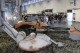 Thumbs/tn_IMG_4365.jpg