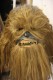 Thumbs/tn_IMG_8864.jpg