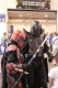 Thumbs/tn_IMG_9177.jpg