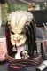 Thumbs/tn_IMG_1481.jpg