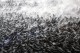 Thumbs/tn_IMG_6357.jpg