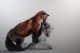 Thumbs/tn_IMG_6402.jpg