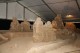 Thumbs/tn_IMG_0325.jpg