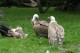 Thumbs/tn_IMG_9998.jpg