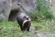 Thumbs/tn_IMG_9918.jpg