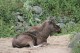 Thumbs/tn_IMG_6716.jpg