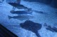 Thumbs/tn_IMG_3810.jpg