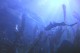 Thumbs/tn_IMG_3821.jpg