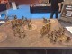 Thumbs/tn_20241004_093534.jpg