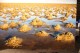 Thumbs/tn_IMG_4884.jpg