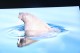 Thumbs/tn_IMG_4895.jpg
