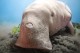 Thumbs/tn_IMG_4896.jpg