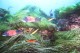 Thumbs/tn_IMG_4897.jpg