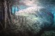 Thumbs/tn_IMG_4898.jpg