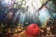 Thumbs/tn_IMG_4899.jpg