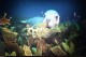 Thumbs/tn_IMG_4902.jpg