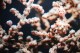 Thumbs/tn_IMG_4903.jpg