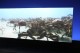 Thumbs/tn_IMG_4904.jpg