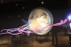 Thumbs/tn_IMG_5022.jpg