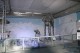 Thumbs/tn_IMG_2193.jpg
