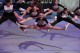 Thumbs/tn_IMG_3894.jpg