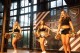 Thumbs/tn_IMG_4169.jpg