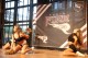 Thumbs/tn_IMG_4177.jpg