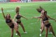 Thumbs/tn_IMG_6614.jpg