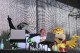 Thumbs/tn_IMG_2071.jpg