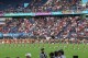 Thumbs/tn_IMG_2151.jpg