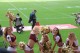 Thumbs/tn_IMG_1954.jpg