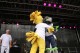 Thumbs/tn_IMG_2646.jpg