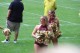Thumbs/tn_IMG_2806.jpg