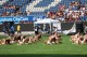 Thumbs/tn_IMG_3795.jpg