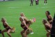 Thumbs/tn_IMG_3376.jpg