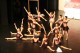 Thumbs/tn_IMG_6648.jpg